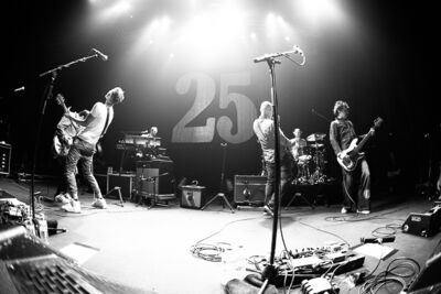 K's Choice "25th Anniversary Tour" @ Splendid Lille, picture 11, photographed by Anais Callens - FrontView Magazine