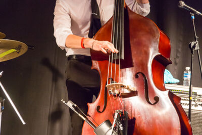 Davina & the Vagabonds (USA) @ Duvelblues, picture 13, photographed by Marc Verdonck - FrontView Magazine