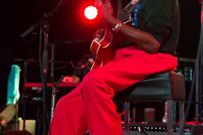 Walter Wolfman Washington (USA) @ Duvelblues, picture 4, photographed by Marc Verdonck - FrontView Magazine