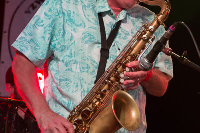 Walter Wolfman Washington (USA) @ Duvelblues, picture 8, photographed by Marc Verdonck - FrontView Magazine