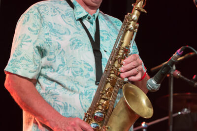 Walter Wolfman Washington (USA) @ Duvelblues, picture 17, photographed by Marc Verdonck - FrontView Magazine