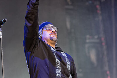 Prophets Of Rage @ Rock Am Ring 2017, picture 4, photographed by Edwin Houdevelt - FrontView Magazine
