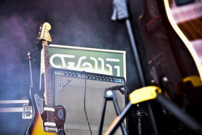 Wally @ Rock Edegem 2017, picture 1, photographed by Katelijne Uytdenhouwen - FrontView Magazine