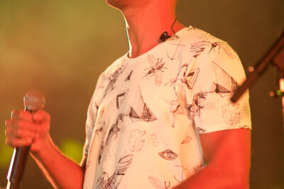 rock Zottegem 2017 Milow vrijdag 7 juli 2017, foto 5, foto's door Pascal Liagre - FrontView Magazine