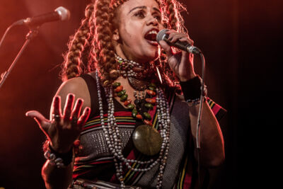 Brosella folk 2017 @ Groentheater Laken, picture 46, photographed by Raf Degeest - FrontView Magazine