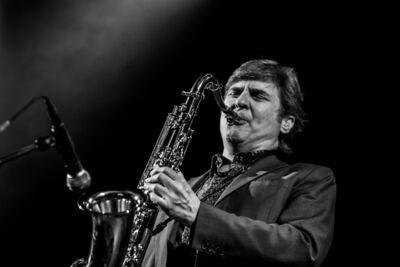 Brosella folk 2017 @ Groentheater Laken, picture 57, photographed by Raf Degeest - FrontView Magazine