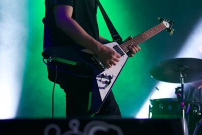 Goose @ Rock Zottegem 2017, picture 16, photographed by Pascal Liagre - FrontView Magazine