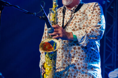 The Black Sorrows @ Bospop, foto 2, foto's door Erwin Evrard - FrontView Magazine