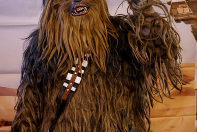 Comiccon @ ICC Ghent, picture 20, photographed by Alex Wyckmans - FrontView Magazine