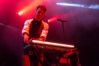 Goose @ Cactusfestival, picture 1, photographed by Dieter  Boone - FrontView Magazine