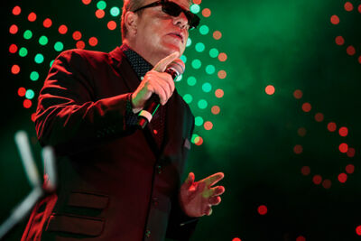 Madness @ Bospop 2017, foto 10, foto's door Dorien Goetschalckx - FrontView Magazine