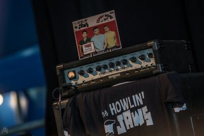 The Howlin' Jaws @ Sjock, picture 16, photographed by Luc Luyten - FrontView Magazine