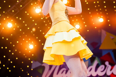 Vlaanderen Feest! 11 juli viering @ Antwerpen, picture 9, photographed by Dimitri Vanlommel - FrontView Magazine