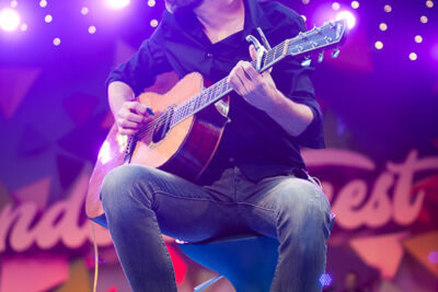 Vlaanderen Feest! 11 juli viering @ Antwerpen, picture 42, photographed by Dimitri Vanlommel - FrontView Magazine