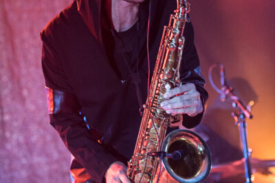 BLOW trio @ Gent Jazz 2017, foto 9, foto's door Jan van Hecke - FrontView Magazine