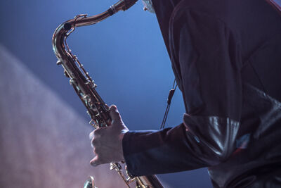 BLOW trio @ Gent Jazz 2017, foto 10, foto's door Jan van Hecke - FrontView Magazine
