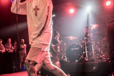 Deez Nutz @ Rock Herk, picture 10, photographed by Luc Luyten - FrontView Magazine