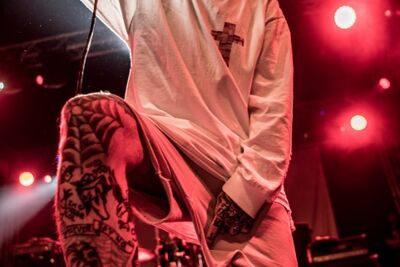 Deez Nutz @ Rock Herk, picture 11, photographed by Luc Luyten - FrontView Magazine