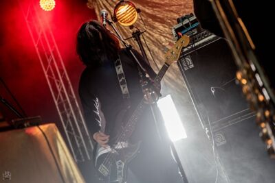 The Black Box Revelation @ Rock Herk, picture 3, photographed by Luc Luyten - FrontView Magazine