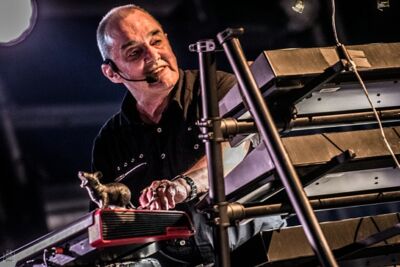The Stranglers @ Punks not dead, picture 25, photographed by Luc Luyten - FrontView Magazine