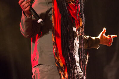 Maxi Priest @ Reggae Geel 2017, foto 20, foto's door Stef Dierckx - FrontView Magazine