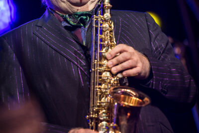 Van Morrison @ Jazz Middelheim 2017, picture 6, photographed by Jan van Hecke - FrontView Magazine
