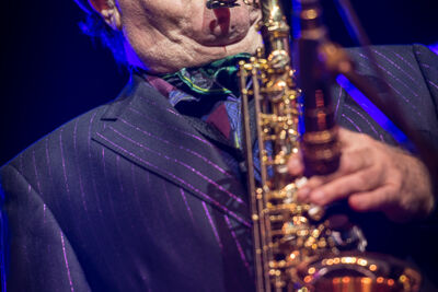 Van Morrison @ Jazz Middelheim 2017, picture 9, photographed by Jan van Hecke - FrontView Magazine