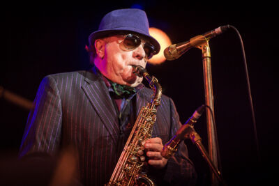 Van Morrison @ Jazz Middelheim 2017, picture 11, photographed by Jan van Hecke - FrontView Magazine