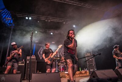 Toxic Shock @ Ieper Hardcore Fest, picture 32, photographed by Luc Luyten - FrontView Magazine