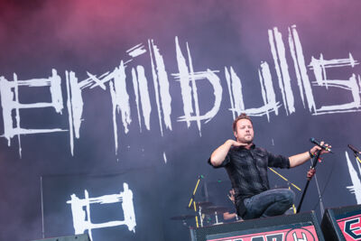 Emil Bulls @ Summer Breeze 2017, picture 3, photographed by Dorien Goetschalckx - FrontView Magazine