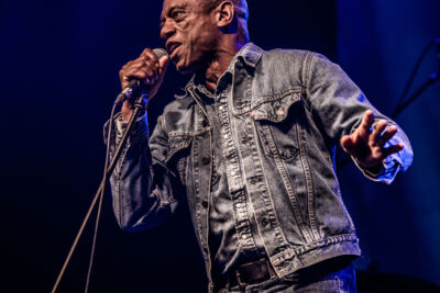 Swing Wespelaar 2017 free blues for the people, picture 29, photographed by Raf Degeest - FrontView Magazine