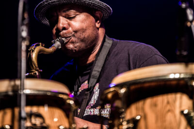 Swing Wespelaar 2017 free blues for the people, picture 40, photographed by Raf Degeest - FrontView Magazine