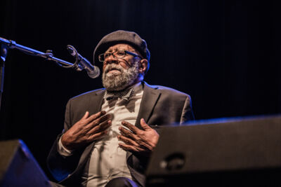 Swing Wespelaar 2017 free blues for the people, picture 96, photographed by Raf Degeest - FrontView Magazine