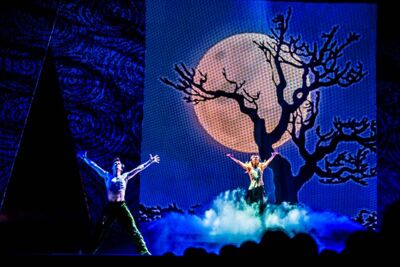 Riverdance 21 @ Ethias Arena, picture 18, photographed by Gert Daemen - FrontView Magazine