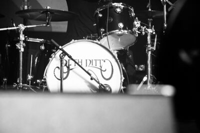 Beth Ditto @ l'Aéronef Lille, picture 16, photographed by FrontView Magazine