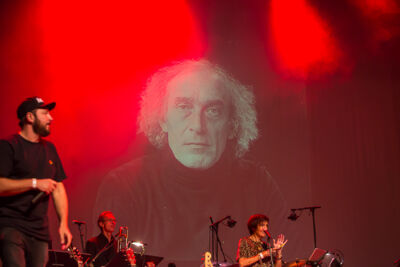 Ode aan 65 jaar De Strangers @ De Roma, picture 43, photographed by Marc Verdonck - FrontView Magazine