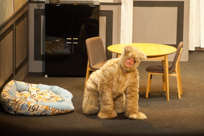Zij heeft een kat en ik nen hond @ echt Antwaarps teater, foto 34, foto's door Goele Bormans - FrontView Magazine