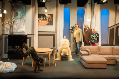 Zij heeft een kat en ik nen hond @ echt Antwaarps teater, foto 58, foto's door Goele Bormans - FrontView Magazine