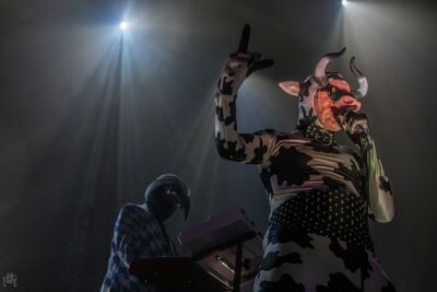The Residents @ Depot Leuven, picture 24, photographed by Luc Luyten - FrontView Magazine