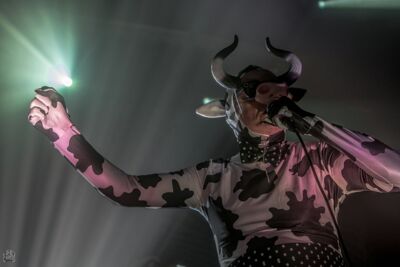 The Residents @ Depot Leuven, picture 26, photographed by Luc Luyten - FrontView Magazine