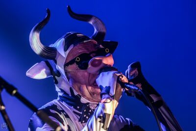 The Residents @ Depot Leuven, picture 44, photographed by Luc Luyten - FrontView Magazine