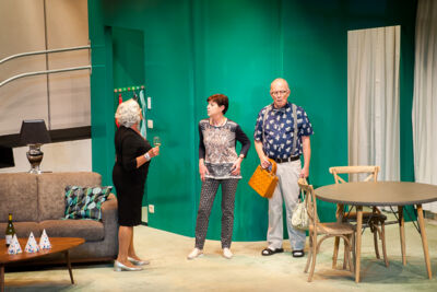 Première Stank voor Dank @ echt Antwaarps teater, foto 20, foto's door Goele Bormans - FrontView Magazine
