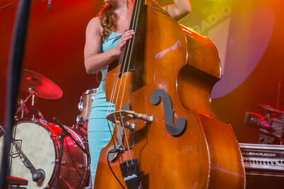 Radio 1 Johnny Cash Sessie. @ Openluchttheater Rivierenhof, picture 34, photographed by Marc Verdonck - FrontView Magazine