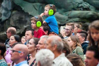 Niels Destadsbader @ 11-juli viering - Grote Markt Antwerpen, picture 11, photographed by Dimitri Vanlommel - FrontView Magazine