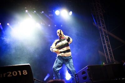 Le 77 @ Dour Festival 2018, picture 3, photographed by Magali Decamps - FrontView Magazine