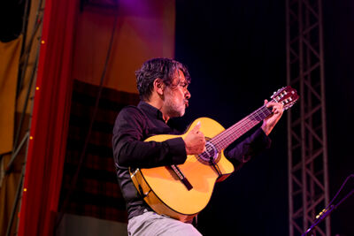 Les Negresses vertes @ Dranouter, picture 7, photographed by Frank Lambrechts - FrontView Magazine