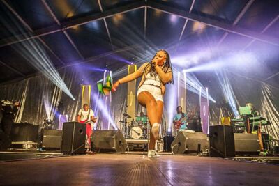 Carlyn XP @ Antilliaanse Feesten, picture 9, photographed by Gert Daemen - FrontView Magazine