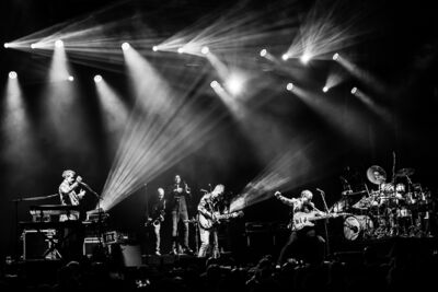 Level 42 @ Fonnefeesten, foto 29, foto's door Danny Wagemans - FrontView Magazine