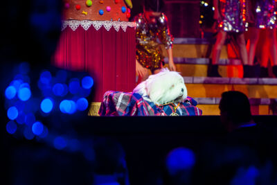 Samson & Gert Kerstshow 2018 @ Plospsa Theater, foto 79, foto's door Goele Bormans - FrontView Magazine