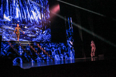 Flatley- Lord of the dance-Dangerous Games @ Ethias Theater, picture 4, photographed by Hilde  Hermans - FrontView Magazine